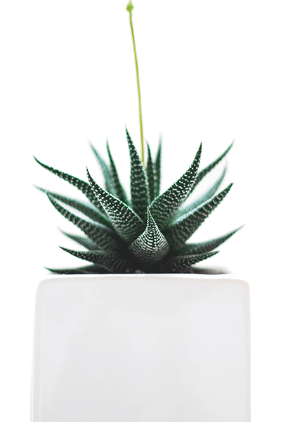 product-img-custom-1